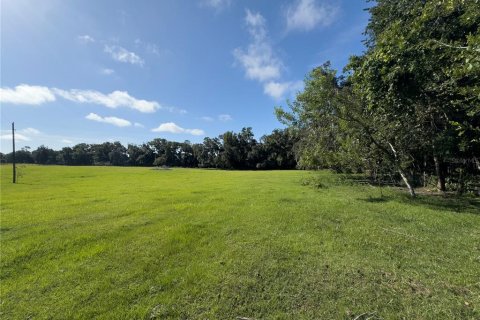 Terrain à vendre à Ocala, Floride № 1338456 - photo 1