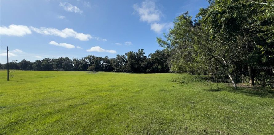 Land in Ocala, Florida № 1338456