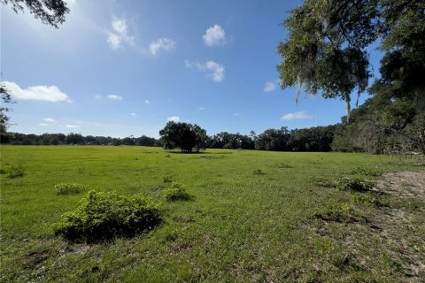 Terrain à vendre à Ocala, Floride № 1338456 - photo 6