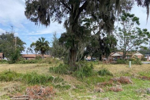 Terreno en venta en Webster, Florida № 1419771 - foto 5