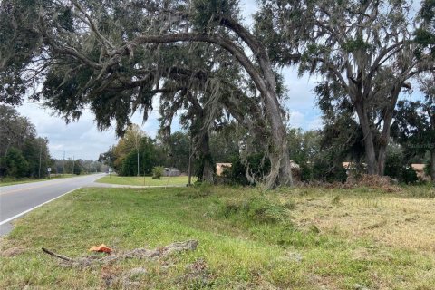 Terreno en venta en Webster, Florida № 1419771 - foto 1