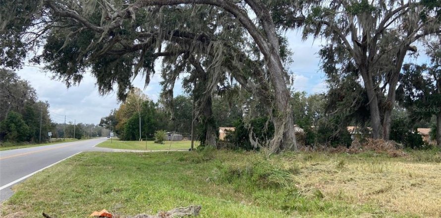 Terreno en Webster, Florida № 1419771