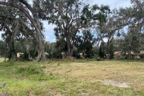 Terreno en venta en Webster, Florida № 1419771 - foto 2