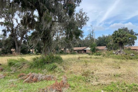 Terreno en venta en Webster, Florida № 1419771 - foto 6