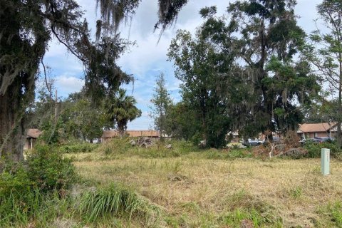 Terreno en venta en Webster, Florida № 1419771 - foto 8