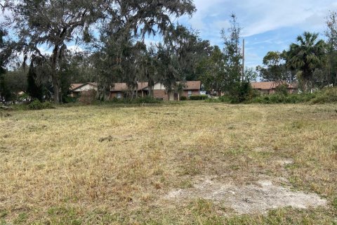 Terreno en venta en Webster, Florida № 1419771 - foto 4