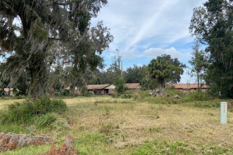 Terreno en venta en Webster, Florida № 1419771 - foto 7