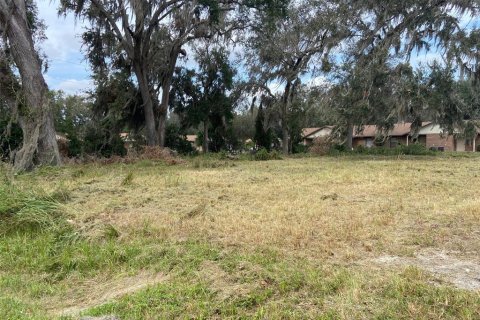 Terreno en venta en Webster, Florida № 1419771 - foto 3