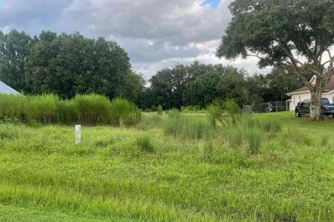 Terrain à vendre à Kissimmee, Floride № 1374464 - photo 4