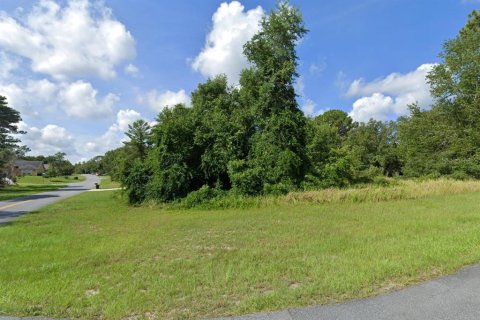 Land in Ocala, Florida № 1409631 - photo 2