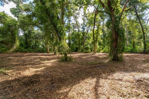 Terreno en venta en Ocala, Florida № 1263892 - foto 3