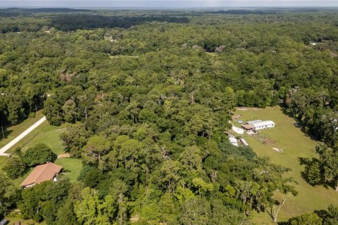 Terrain à vendre à Ocala, Floride № 1263892 - photo 13