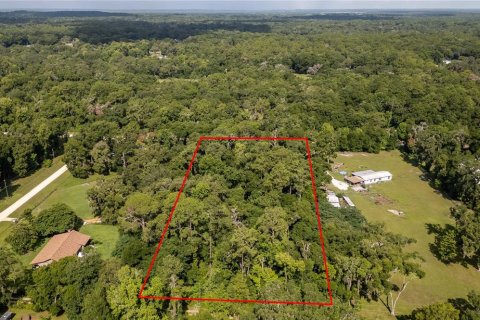 Terreno en venta en Ocala, Florida № 1263892 - foto 12