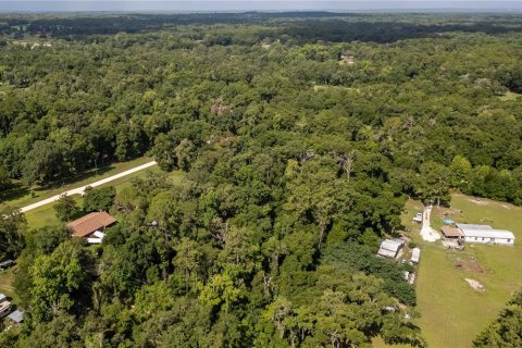 Terreno en venta en Ocala, Florida № 1263892 - foto 11