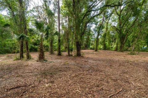 Terrain à vendre à Ocala, Floride № 1263892 - photo 5