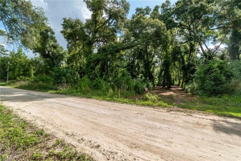 Terrain à vendre à Ocala, Floride № 1263892 - photo 6