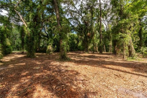 Terreno en venta en Ocala, Florida № 1263892 - foto 4