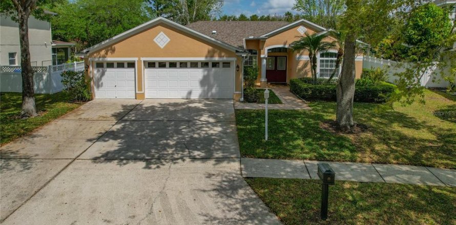 House in Tampa, Florida 4 bedrooms, 230.86 sq.m. № 1063042