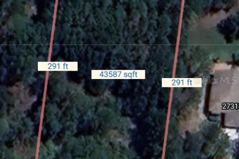 Terreno en venta en Zephyrhills, Florida № 1375096 - foto 2