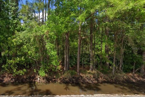 Land in Zephyrhills, Florida № 1375096 - photo 1