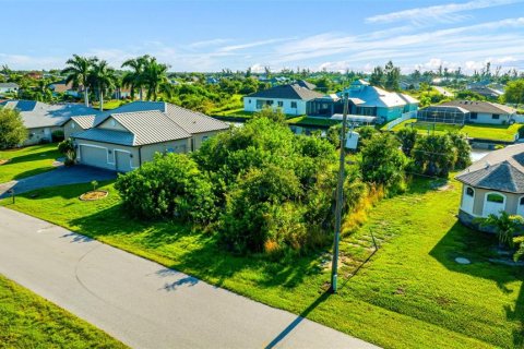 Land in Port Charlotte, Florida № 1379449 - photo 2