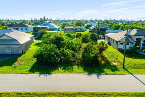 Land in Port Charlotte, Florida № 1379449 - photo 1