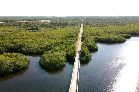 Land in Placida, Florida № 1341099 - photo 7