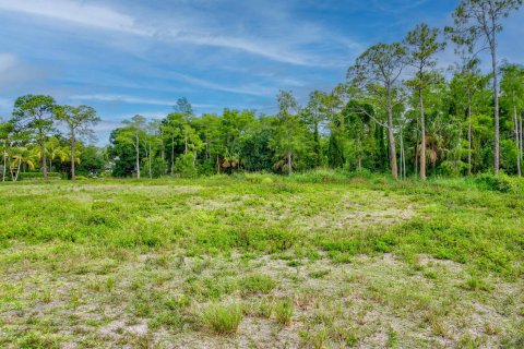 Land in Jupiter, Florida № 1227754 - photo 10