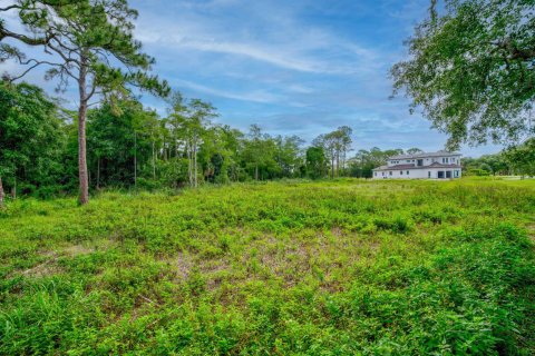 Land in Jupiter, Florida № 1227754 - photo 12