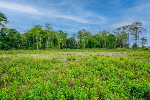 Land in Jupiter, Florida № 1227754 - photo 11