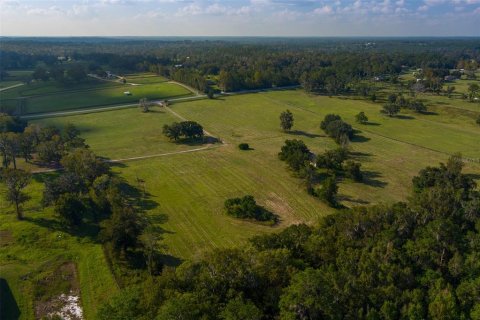 Terreno en venta en Reddick, Florida № 1429498 - foto 6