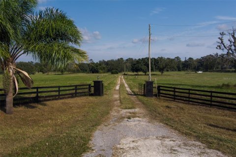 Terreno en venta en Reddick, Florida № 1429498 - foto 3