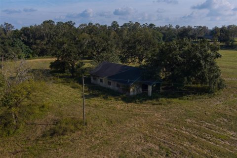 Terreno en venta en Reddick, Florida № 1429498 - foto 9