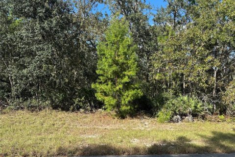 Land in Ocala, Florida № 1428637 - photo 5