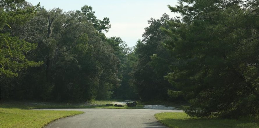 Terrain à Ocala, Floride № 1428637