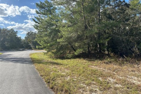 Terreno en venta en Ocala, Florida № 1428637 - foto 4