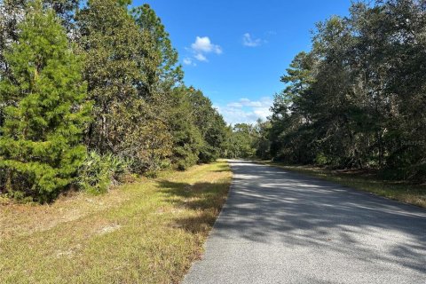 Terrain à vendre à Ocala, Floride № 1428637 - photo 3