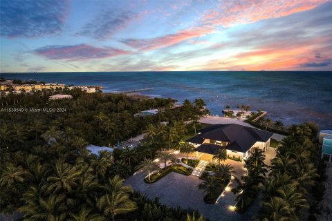 Villa ou maison à vendre à Islamorada, Village of Islands, Floride: 6 chambres, 613.34 m2 № 1030961 - photo 1