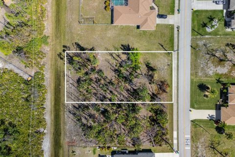 Land in Rotonda, Florida № 1025669 - photo 2