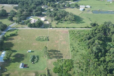 Land in Winter Haven, Florida № 1356143 - photo 4