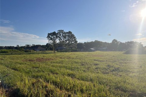 Land in Winter Haven, Florida № 1356143 - photo 16