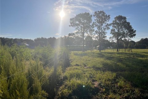 Land in Winter Haven, Florida № 1356143 - photo 22