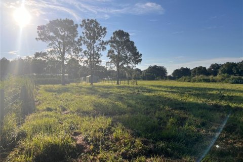 Land in Winter Haven, Florida № 1356143 - photo 21