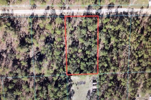 Terreno en venta en Ocala, Florida № 1255470 - foto 2