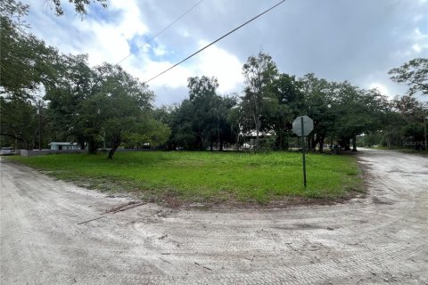 Land in LaBelle, Florida № 1252636 - photo 2