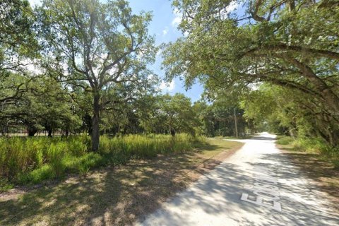 Land in LaBelle, Florida № 1252636 - photo 6