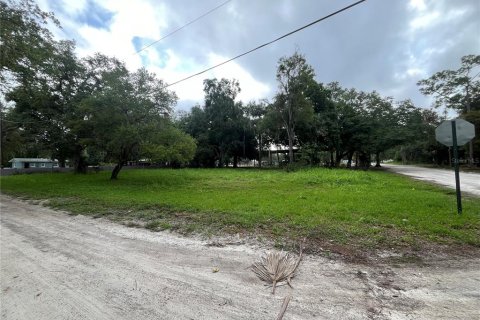 Land in LaBelle, Florida № 1252636 - photo 1