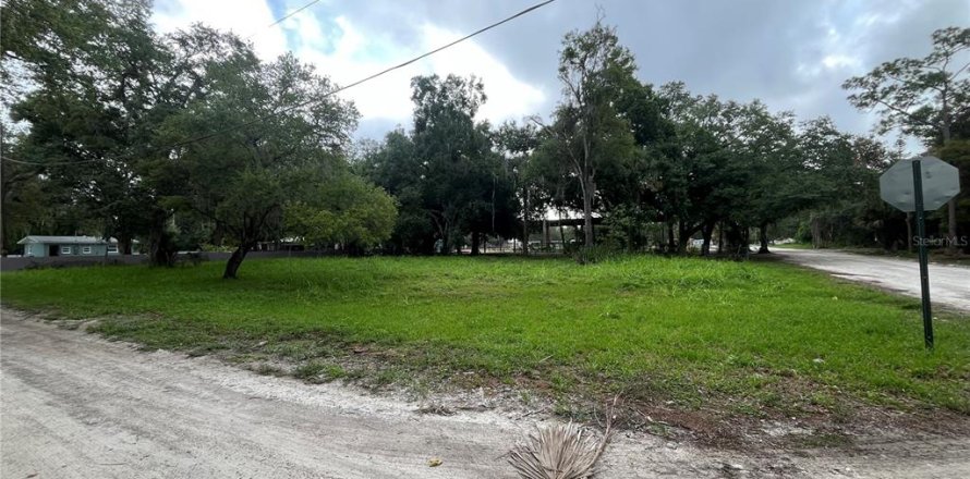 Land in LaBelle, Florida № 1252636