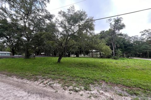 Land in LaBelle, Florida № 1252636 - photo 5