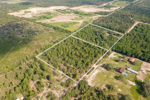 Terreno en venta en Archer, Florida № 1341228 - foto 6